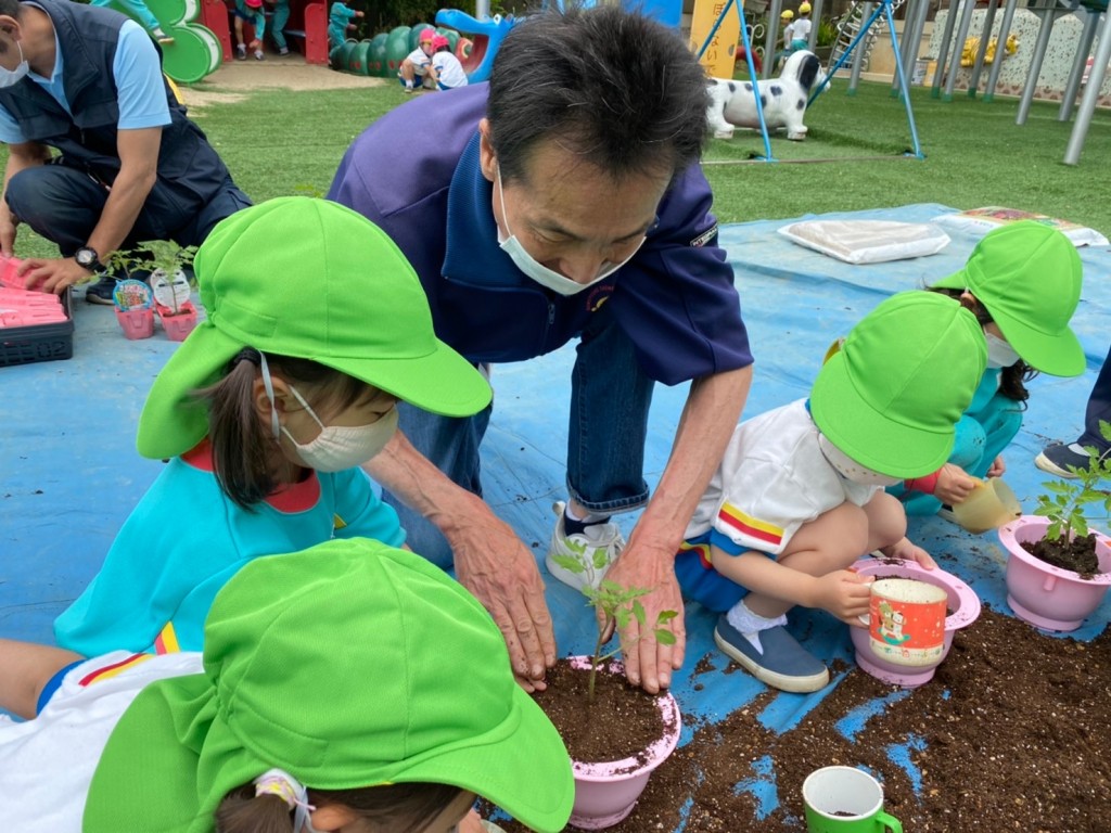 トマトの苗植え ようちえんにっき 学校法人住吉清水学園 加賀幼稚園